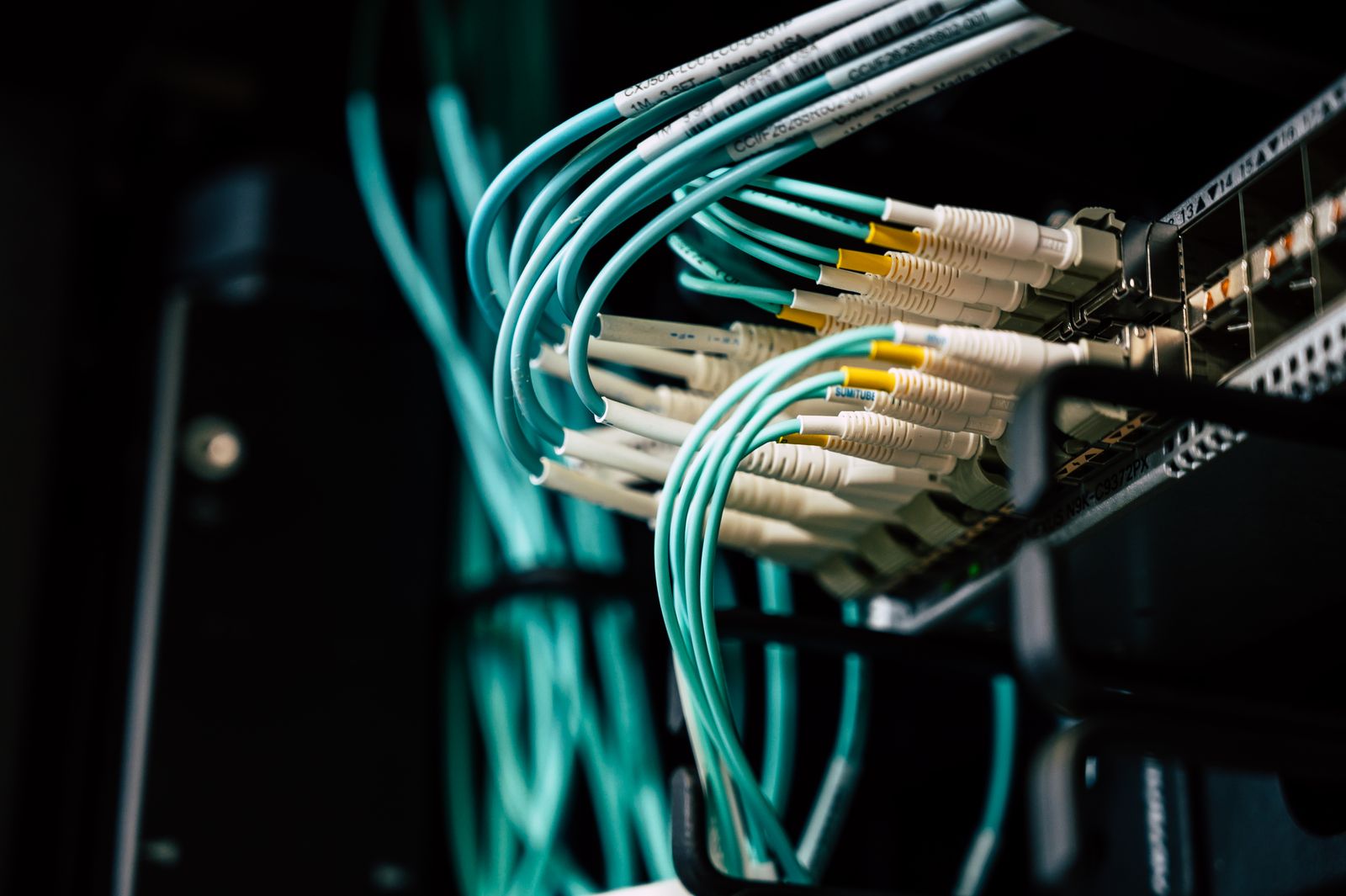 Close-up of teal network cables plugged into a server or network switch in a data center, with labeled connectors and organized cable management.